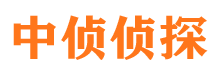 陕西市侦探调查公司